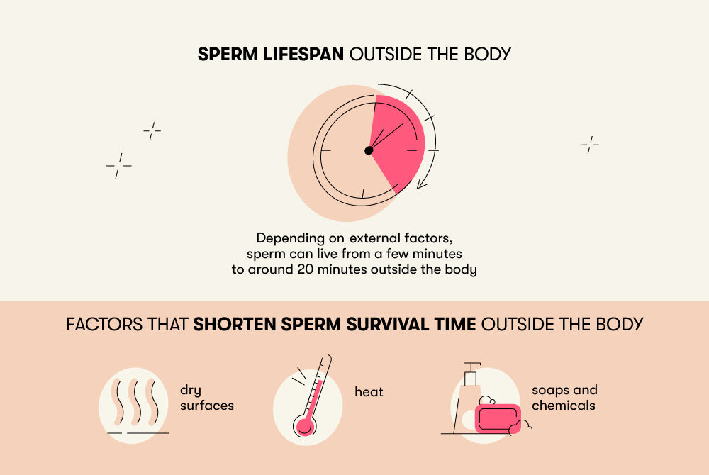 How Long Can Sperm Last Outside The Body
