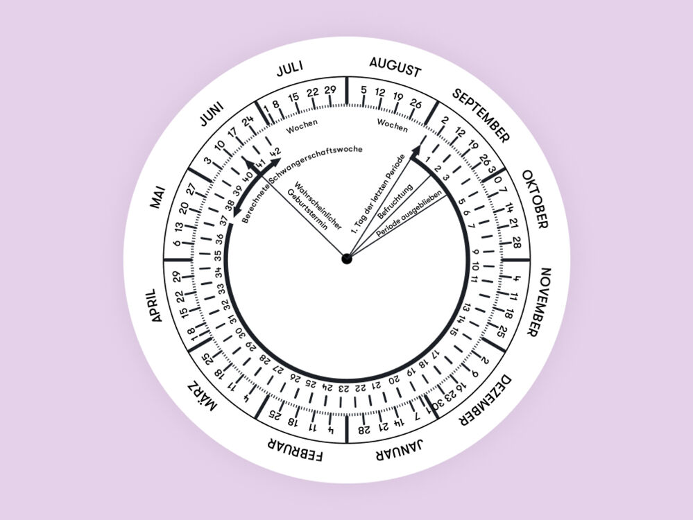 SSW-Rechner – Flo