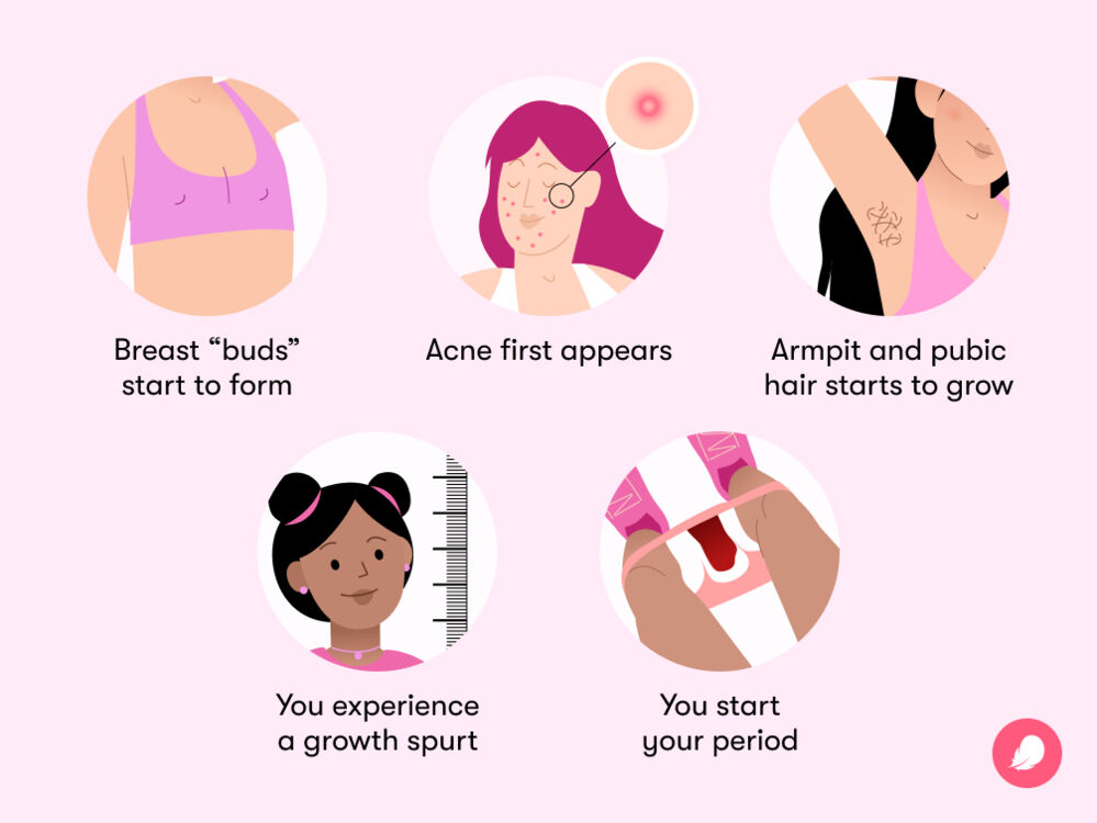 Puberty brings hormonal changes leading to body hair growth, acne, breast development, height growth, and the first period.