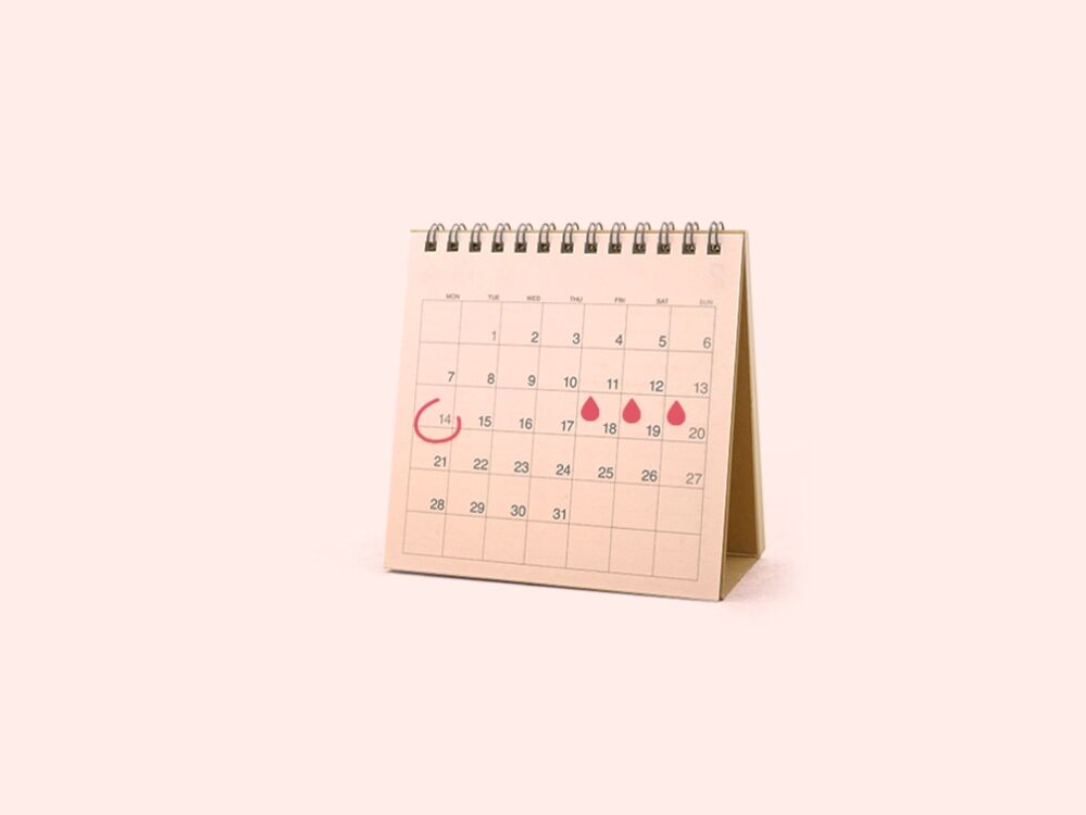 A calendar used to schedule sex to conceive a girl