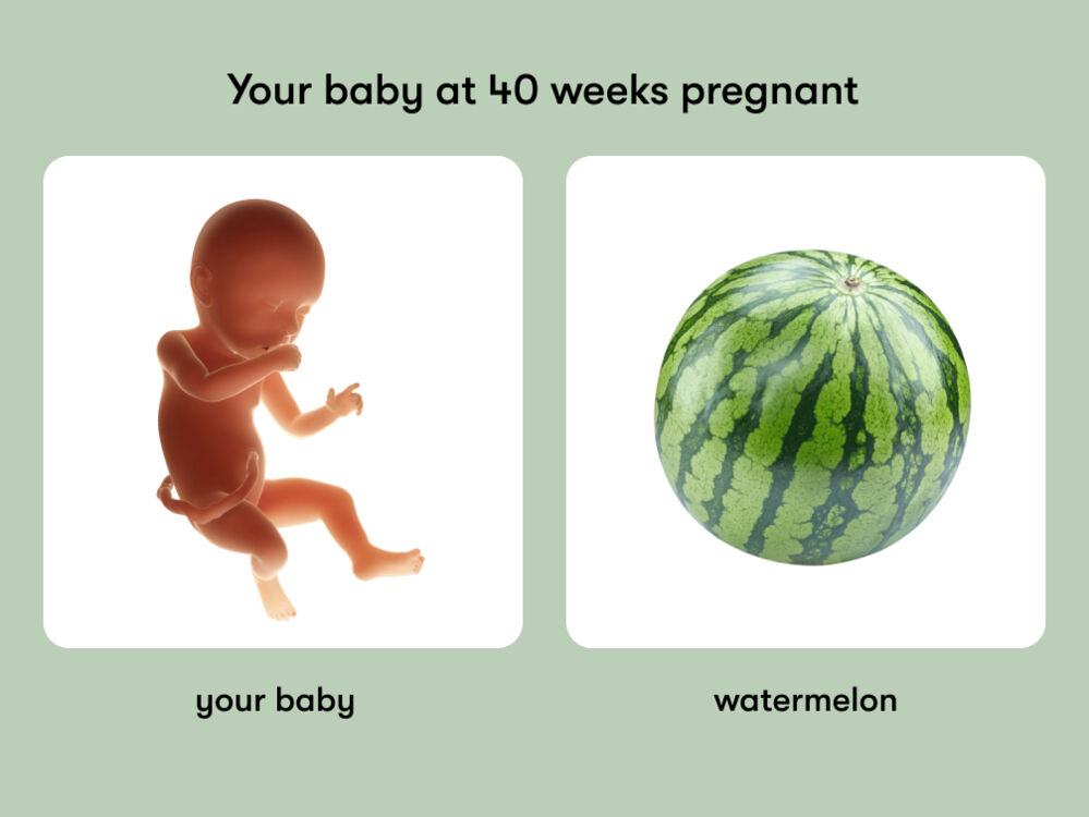 40 Weeks Pregnant: Symptoms and Baby Development