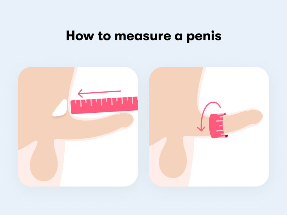 How to measure a penis