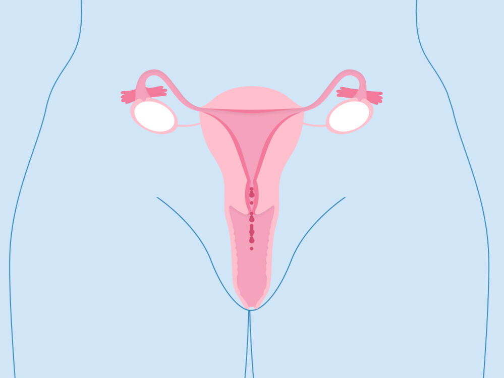5 main types of gynecological cancer