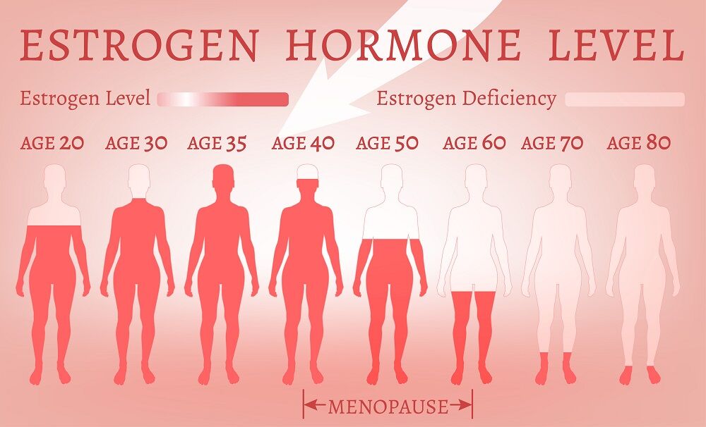 Estrogen levels in women