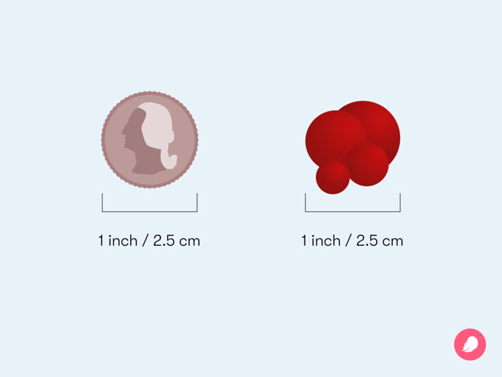 Comparison of period blood clot size to a quarter