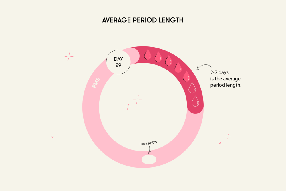 Average period length
