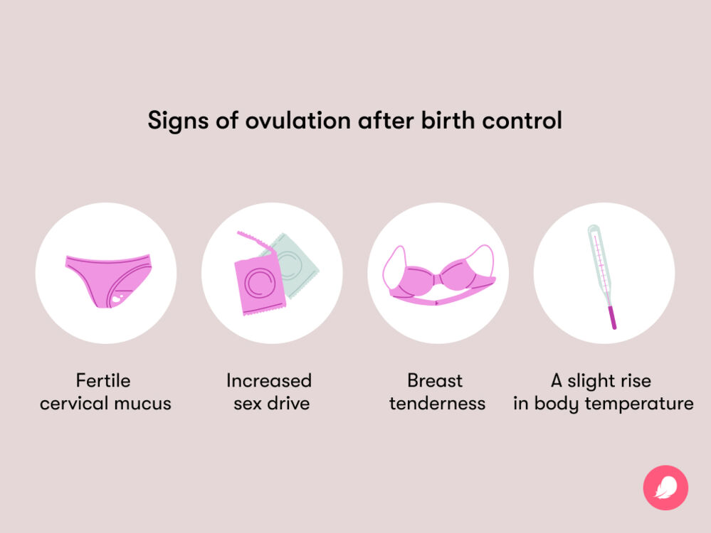 signs of ovulation after birth control include increased sex drive and fertile cervical mucus