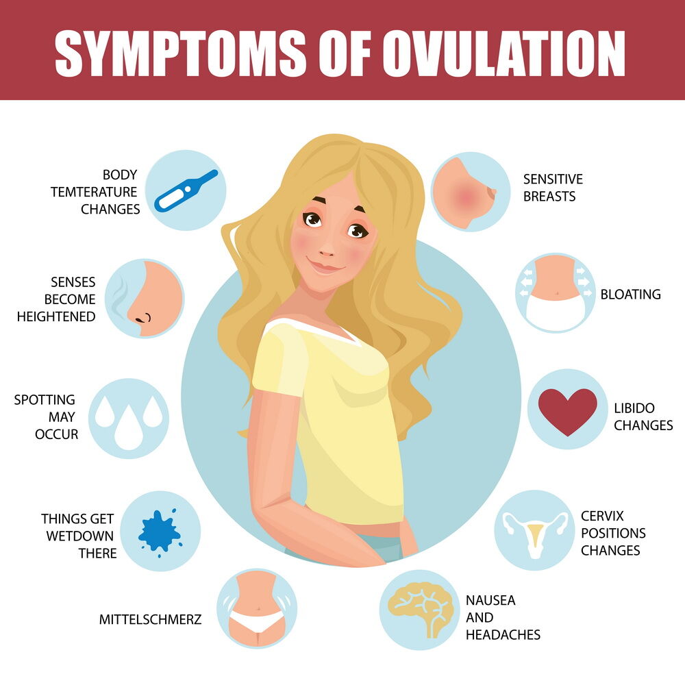 Symptoms of ovulation
