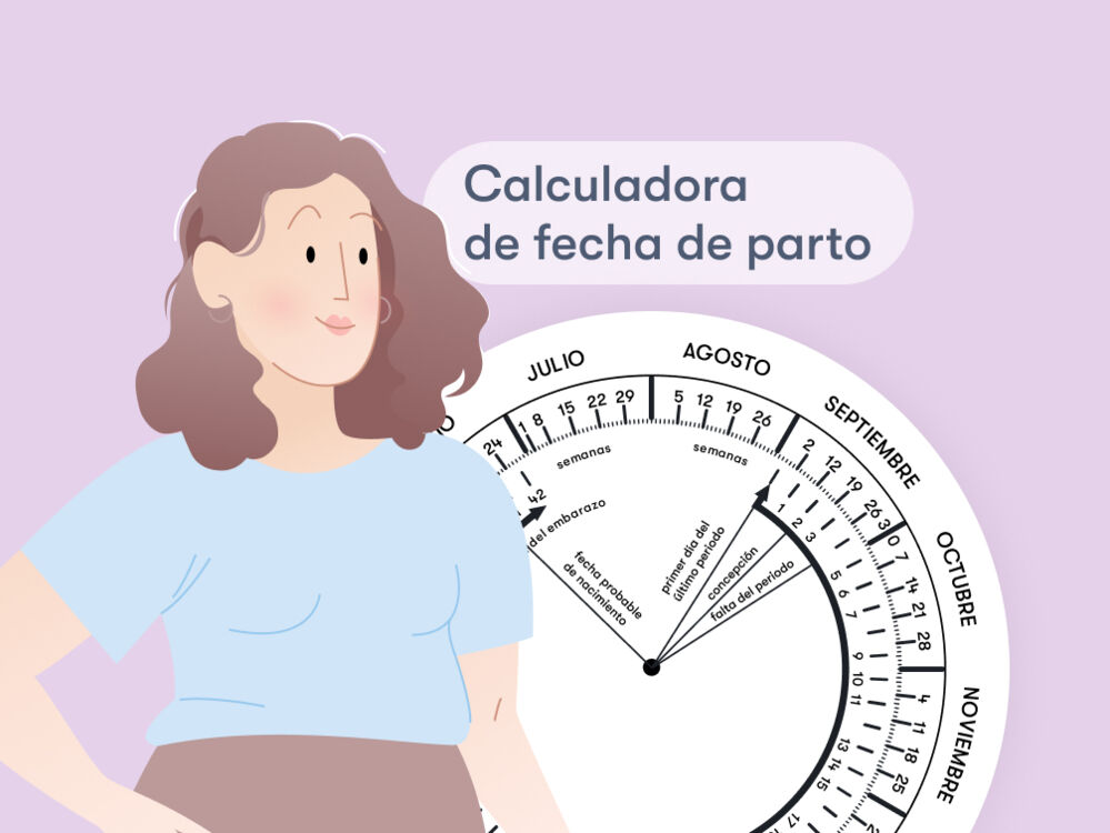 Preferencia Imperio folleto Calendario y calculadora de embarazo - Flo