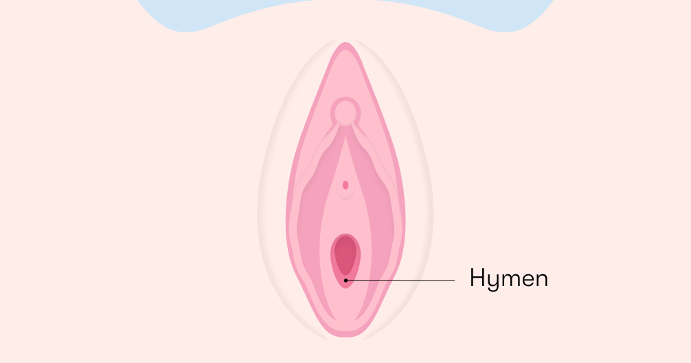 Tout savoir sur l'hymen - Flo