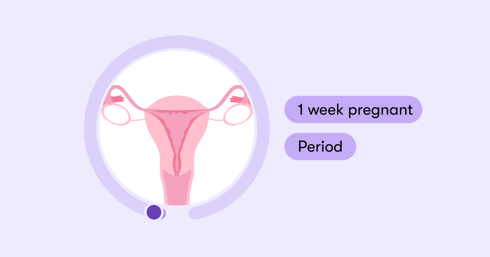 1 week pregnant: Symptoms, tips, and baby development