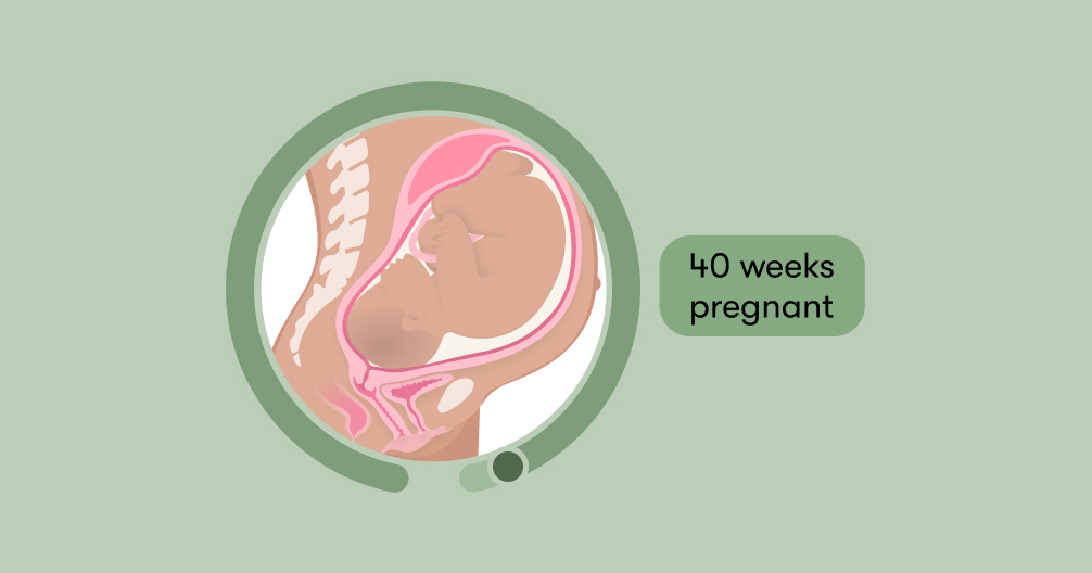 40 weeks pregnant: Symptoms, tips, and baby development