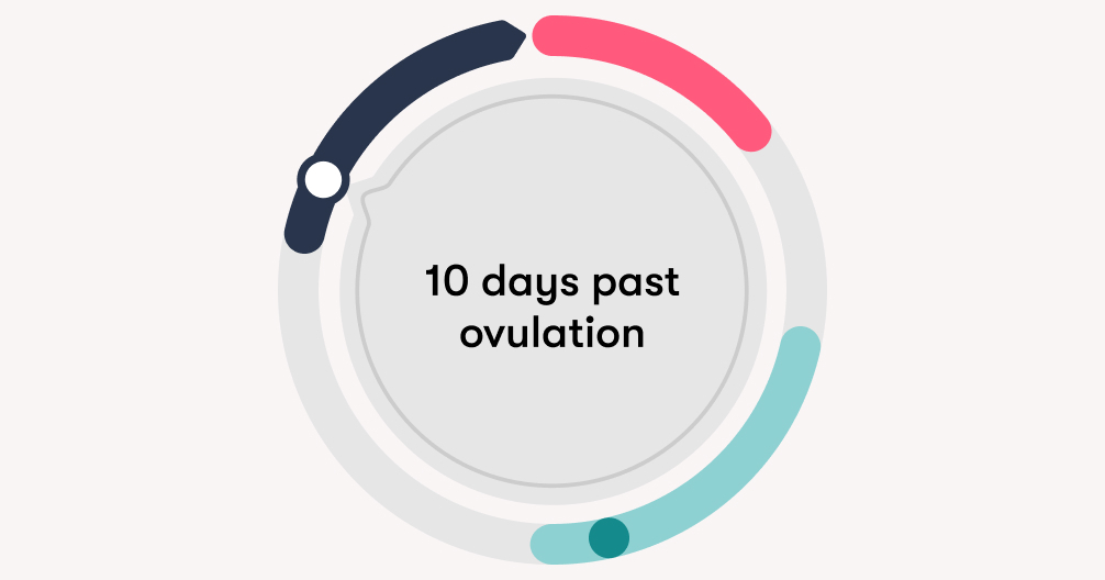 moving with my cycle: luteal phase - the 10-14 days after ovulation! t