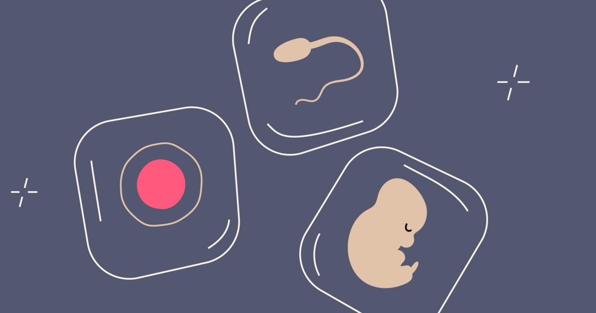 Cryopreservation how life changing sperm egg or embryo freezing