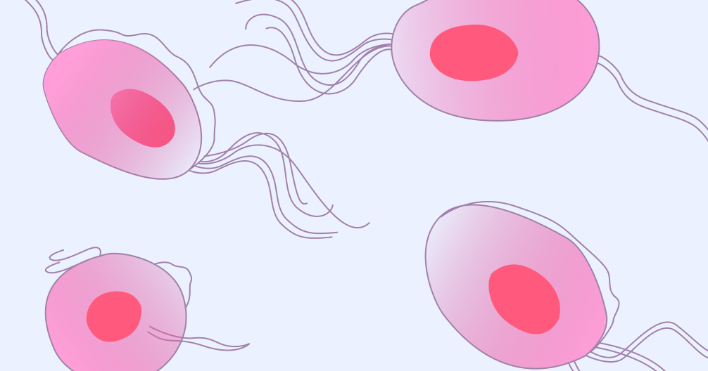 Trichomoniasis Symptoms causes and treatment Flo