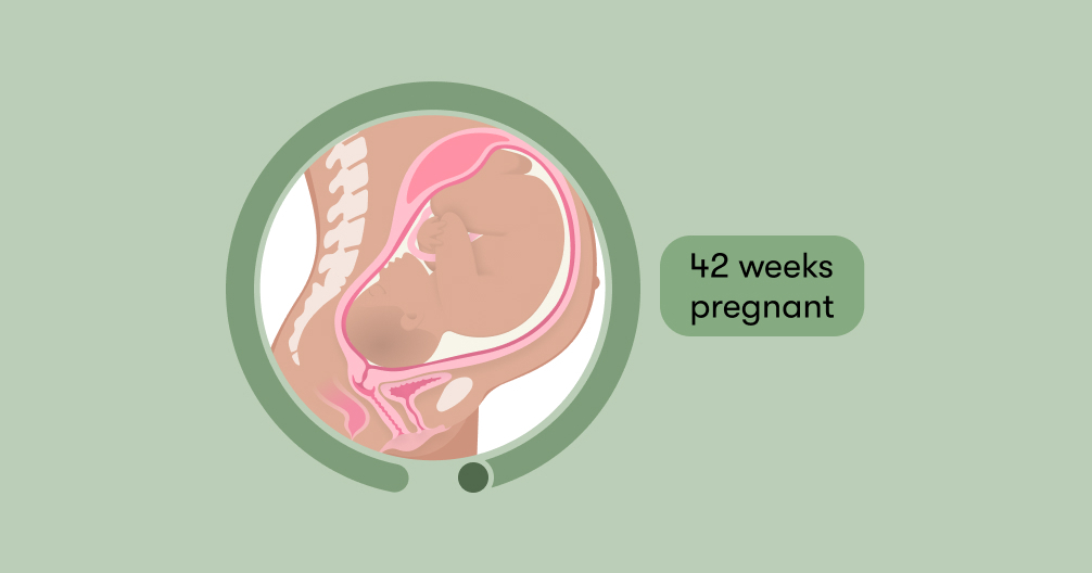 42 weeks pregnant: Symptoms, tips, and baby development