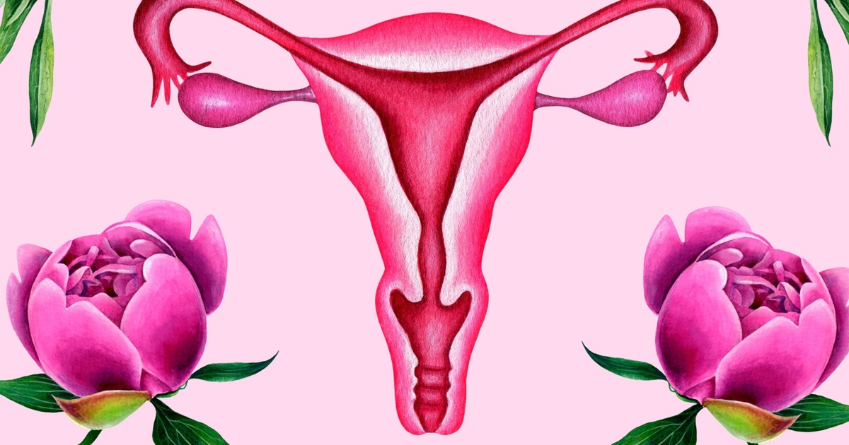 Ein Verkurzter Gebarmutterhals Wahrend Der Schwangerschaft Ein Verkurzter Gebarmutterhals Wahrend Der Schwangerschaft