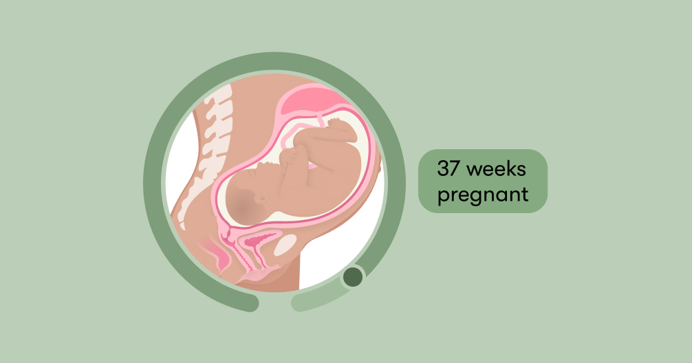 37 weeks pregnant: Symptoms, tips, and baby development