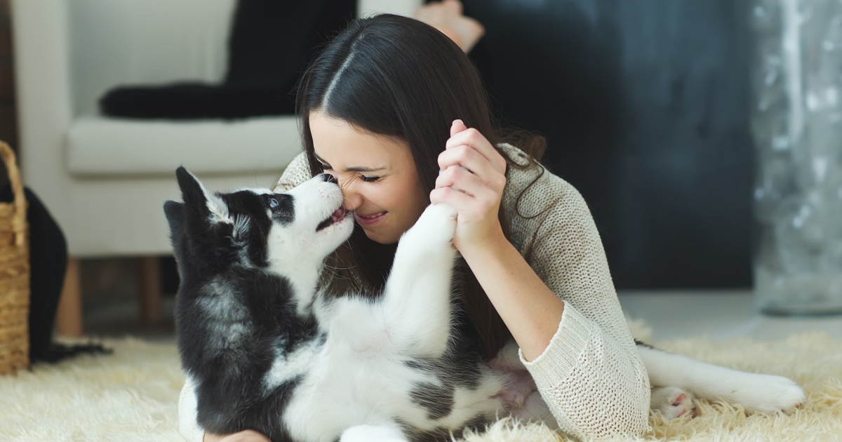 Can Dogs Sense Pregnancy In Humans?