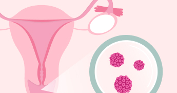 pap smear clipart flowers