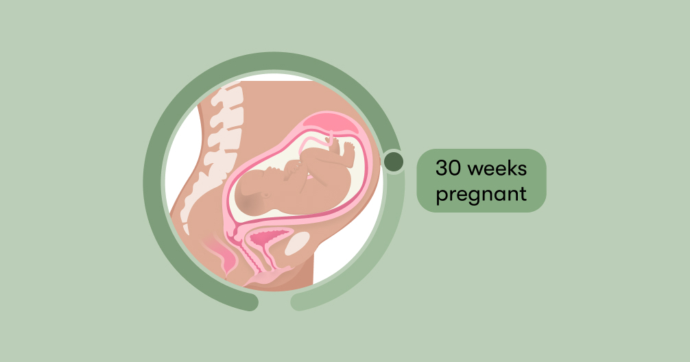 Week 30 30 weeks pregnant: Symptoms, tips & baby development
