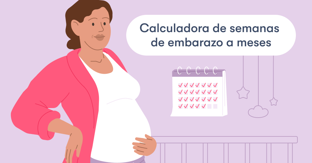 Calcular semanas de embarazo a meses: ¿de cuánto estoy?