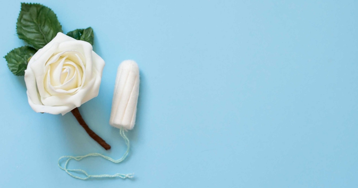 Tampan Insect Insert Tampon Without Applicator – YBGFN
