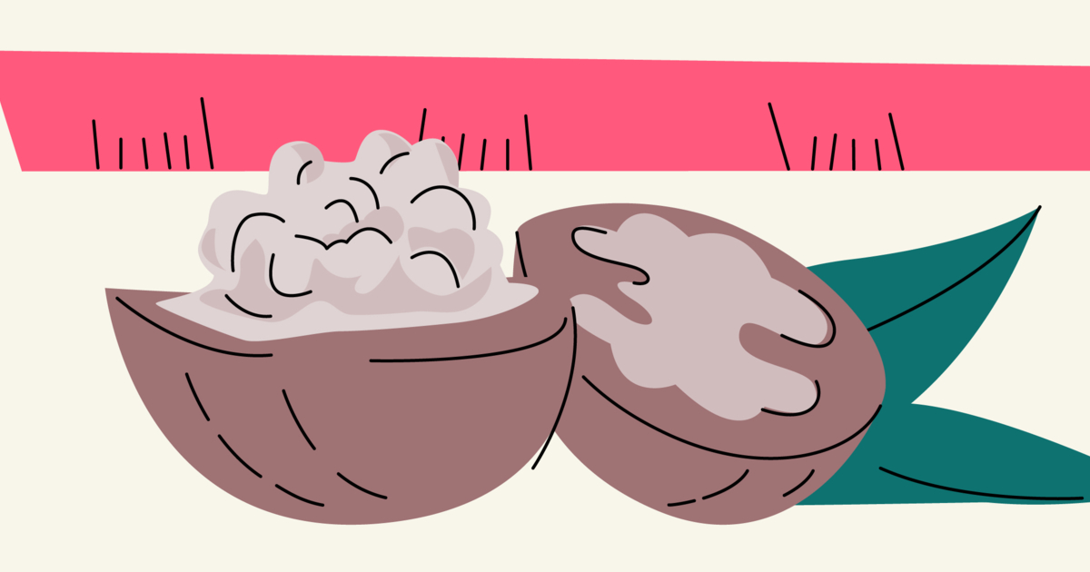 Fetal Brain Development Stages: When Does a Fetus Develop a Brain?