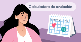luego Celebridad Sábana Calculadora de ovulación: descubre cuáles son tus días más fértiles
