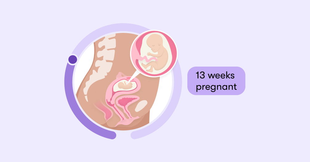 13 Weeks Pregnant: Symptoms, Belly, Cramping & More