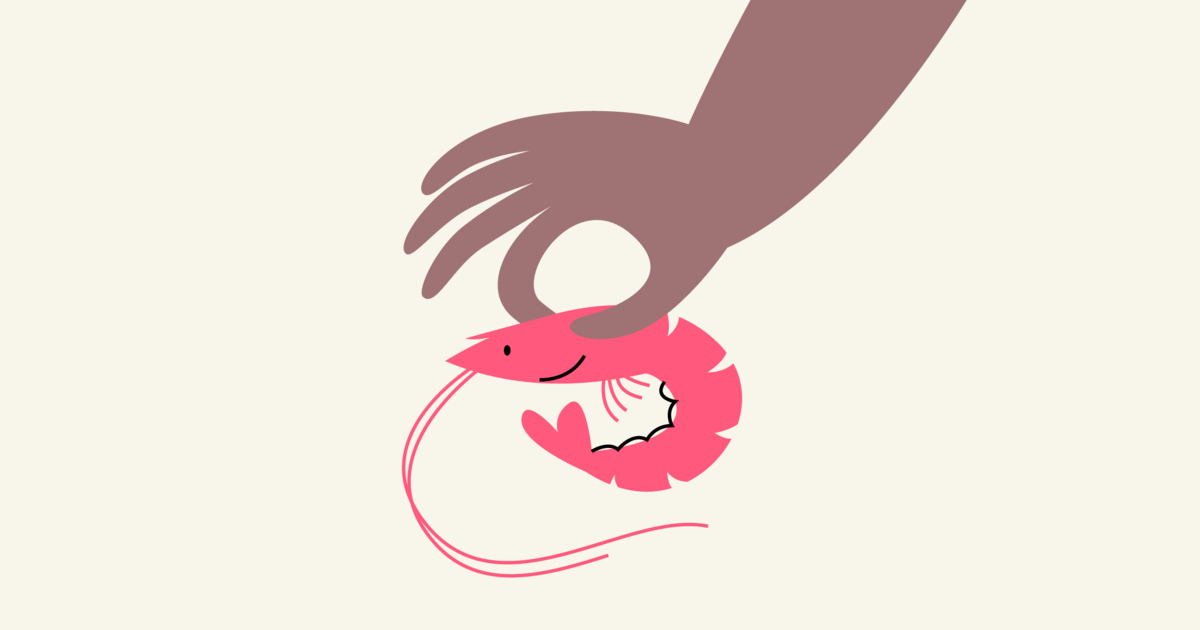 Can Pregnant Women Eat Shrimp Can Pregnant Women Eat Shrimp