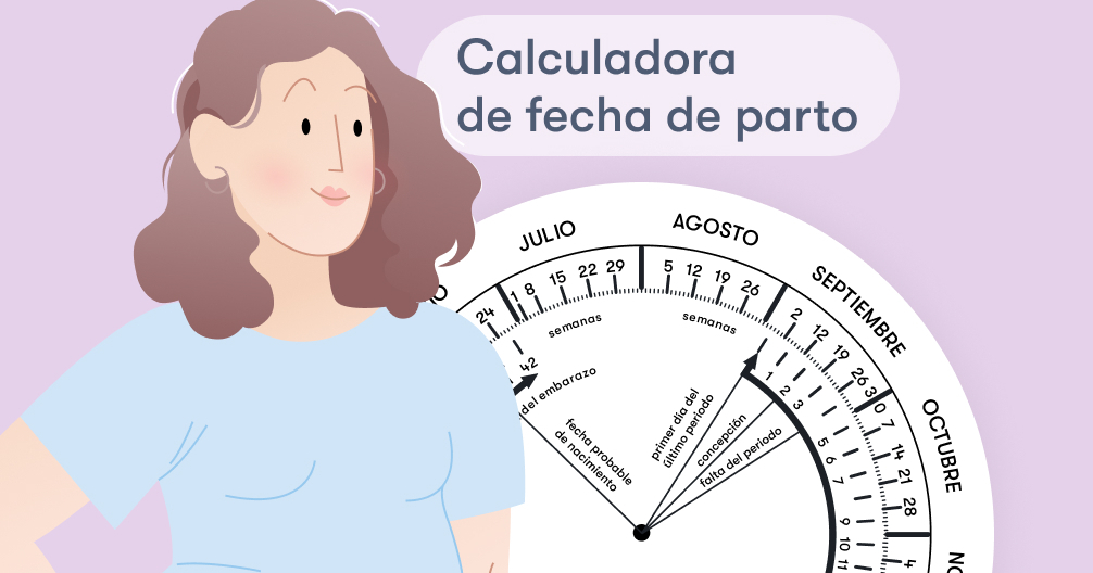 vesícula biliar aprendiz Inconsistente Calendario y calculadora de embarazo - Flo