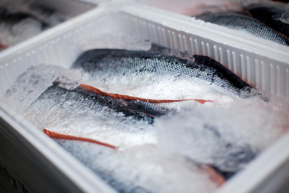 frozen fish is healthy and rich in omega-3 fatty acids frozen fish is healthy and rich in omega-3 fatty acids