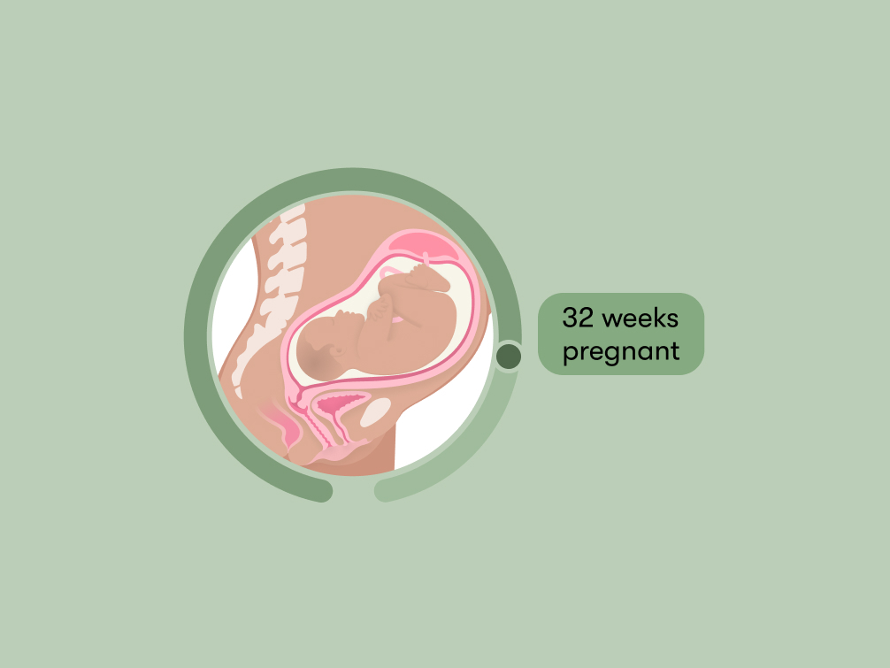 Pregenat Pussy Eating Cartoon - 32 weeks pregnant: Symptoms, tips, and baby development