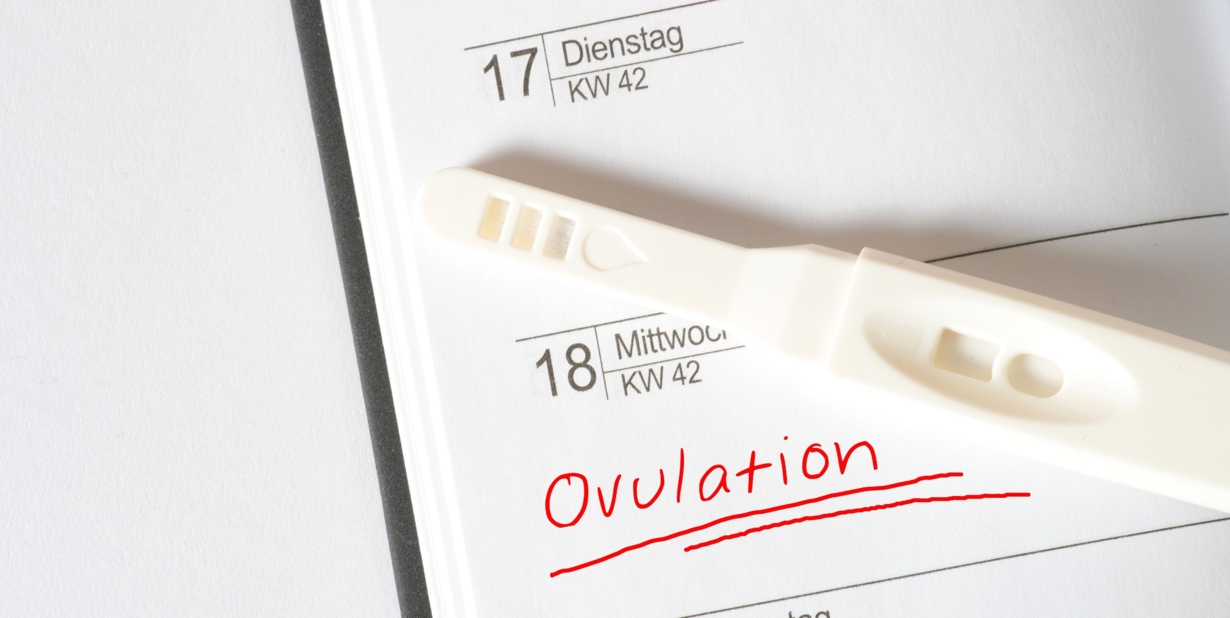 Ovulation kit: how to choose, how to use, and more! Ovulation kit: how to choose, how to use, and more!