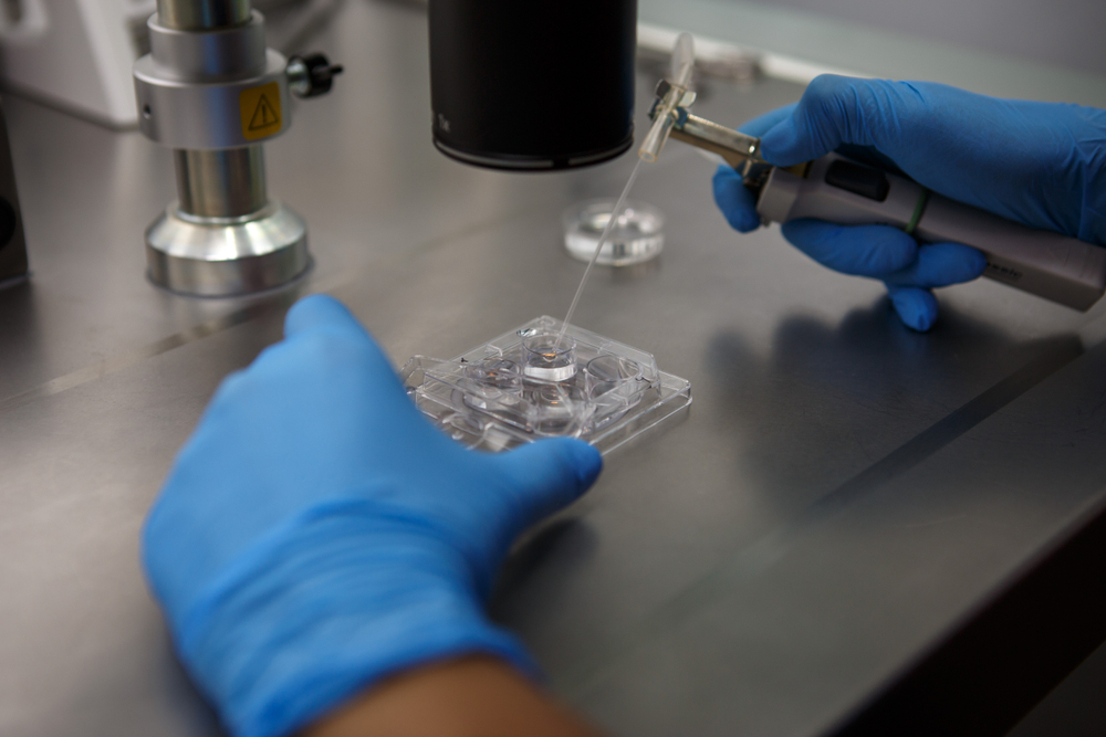 egg freezing process egg freezing process