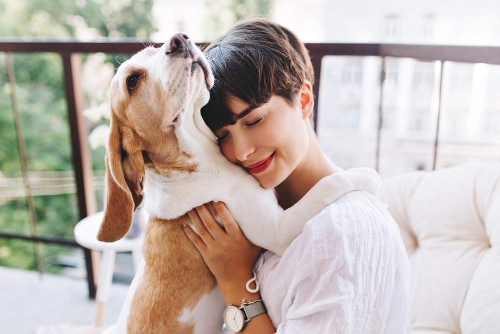 dog hugging a pregnant woman dog hugging a pregnant woman