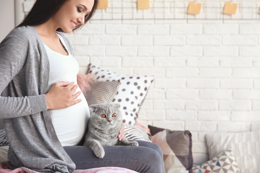 Pregnant young woman with her pet cat Pregnant young woman with her pet cat