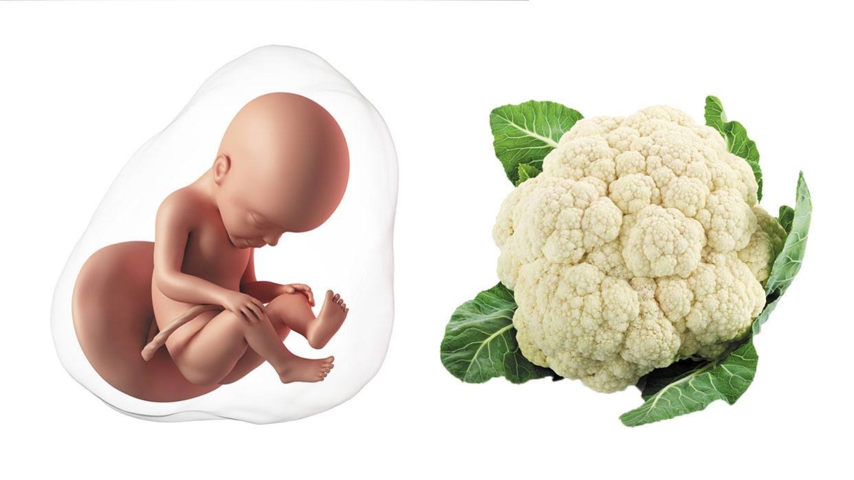 At 27 weeks pregnant, your baby is the size of a cauliflower 