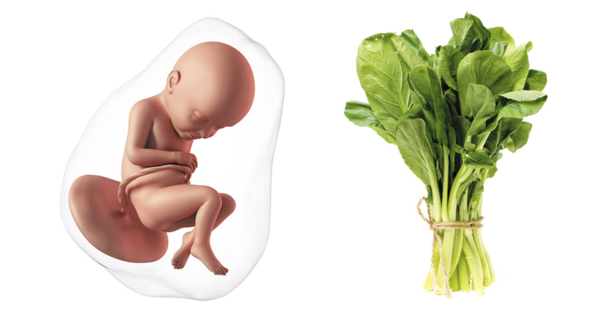 38 Weeks Pregnant Symptoms Tips Baby Development 38 Weeks Pregnant Symptoms Tips Baby Development