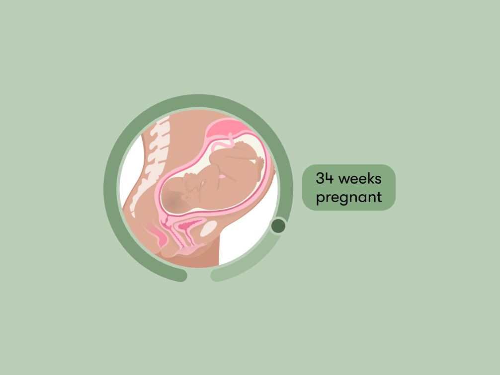 34 Weeks Pregnant: Symptoms, Size, and Development