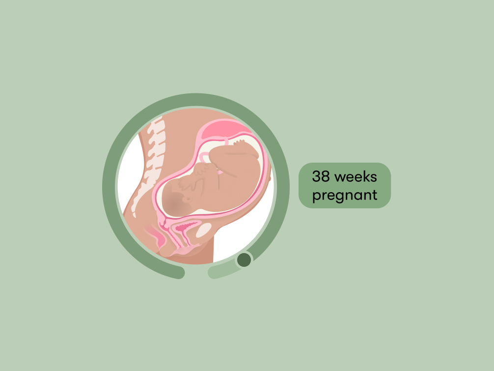 38 weeks pregnant: Symptoms, tips, and baby development