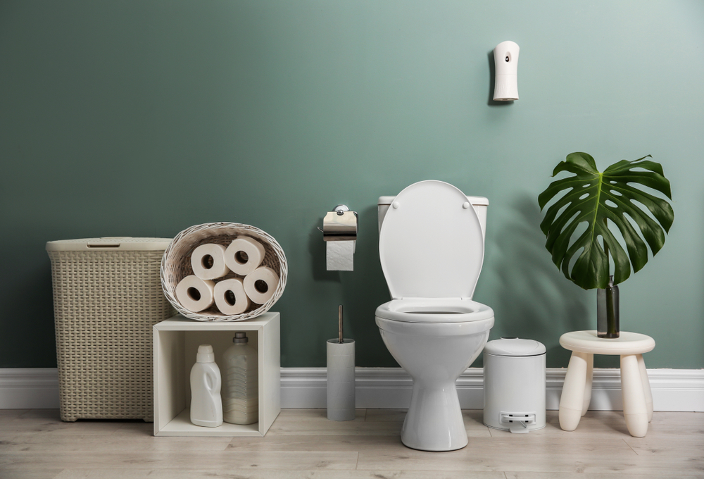 A toilet as a symbol of urinary incontinence A toilet as a symbol of urinary incontinence