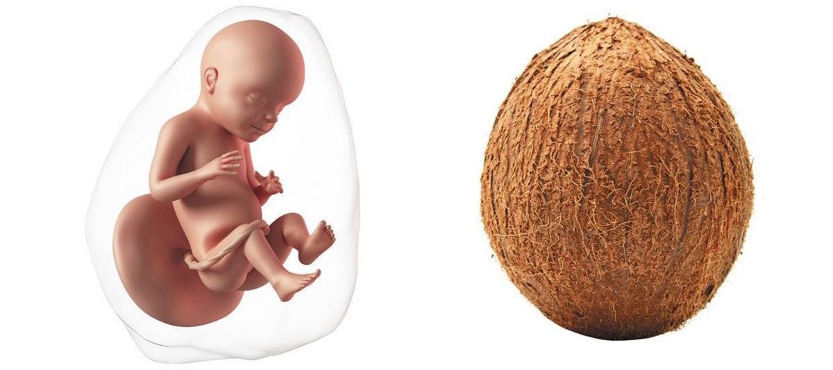 28 Weeks Pregnant Symptoms Tips Baby Development 28 Weeks Pregnant Symptoms Tips Baby Development