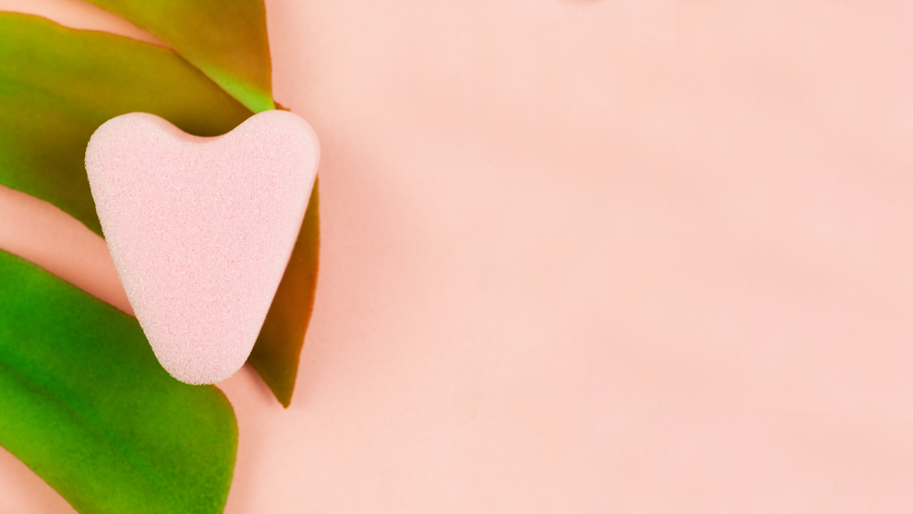 Menstrual Sponge What Is It and How to Use It