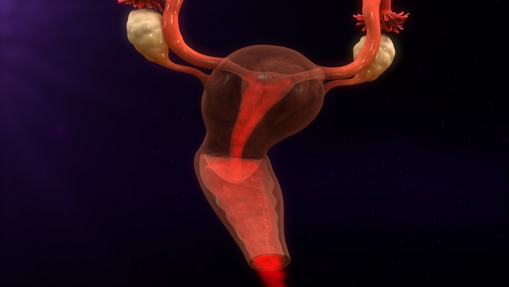 causes for bleeding after vaginal delivery causes for bleeding after vaginal delivery