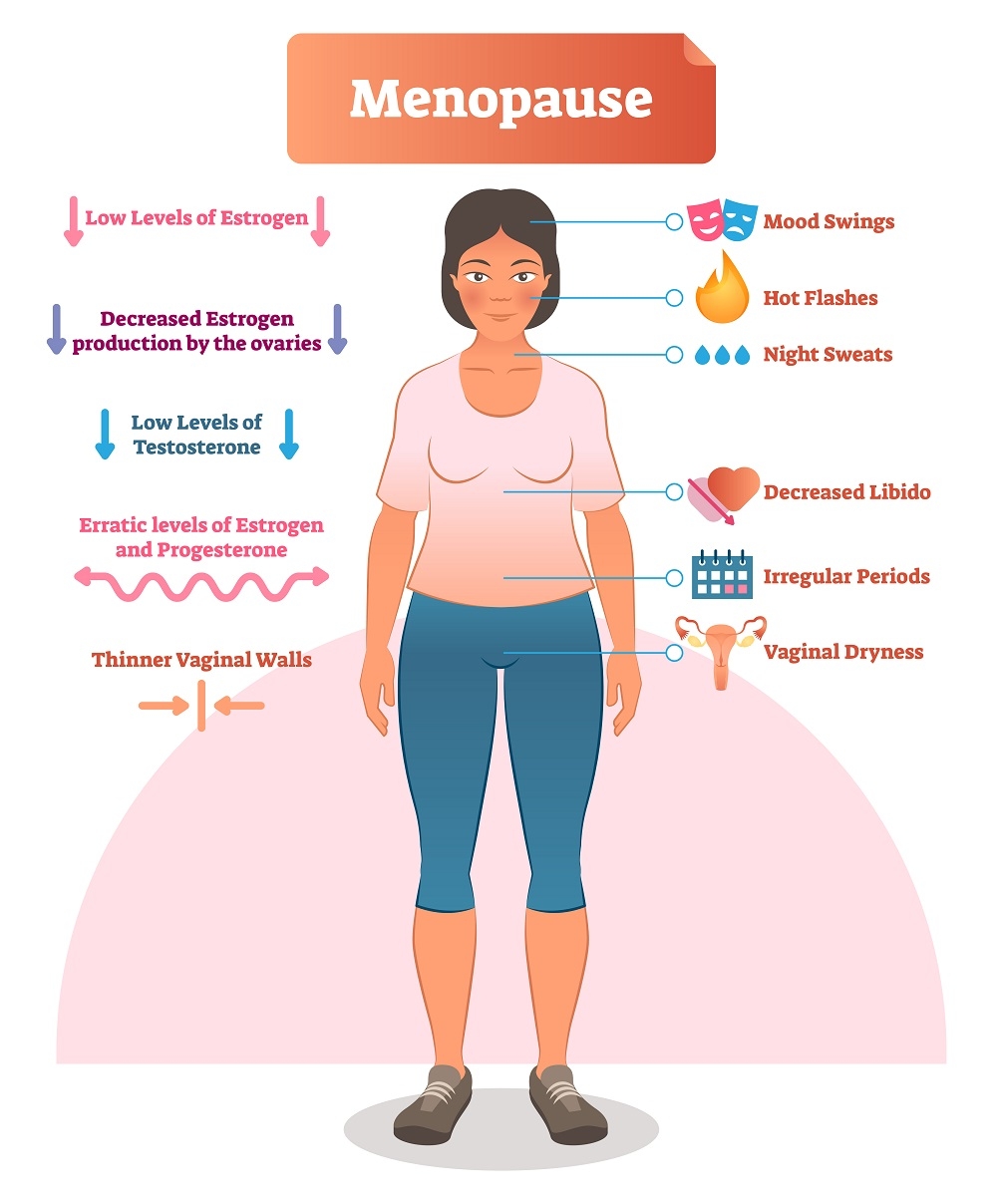 Image result for Menopause Symptoms