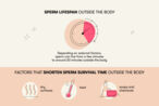 Sperm lifespan outside the body