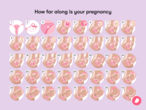 Infographic showing weeks of pregnancy