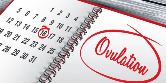 11 Days Past Ovulation 11 Days Past Ovulation